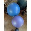 Image 2 : Two Exercise Stability Balls
