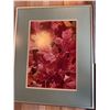 Image 4 : Three Framed Artworks