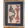 Image 4 : Robert Davidson Framed Art Print
