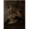 Image 11 : Dolls, Decorative Plate, and Figures