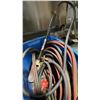 Image 2 : BLUE BIN OG TORCH HOSE, AIR HOSE, ELECTRICAL CABLE, & INDUSTRIAL TIGER ROOFING TORCH