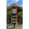 Image 1 : ALLRIGHT 4' ORANGE CARBON FIBER INDUSTRIAL PLATFORM LADDER