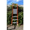 Image 1 : ALLRIGHT 4' ORANGE CARBON FIBER INDUSTRIAL PLATFORM LADDER