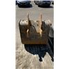 Image 4 : 27" EXCAVATOR DIGGING BUCKET *FITS CAT 308*