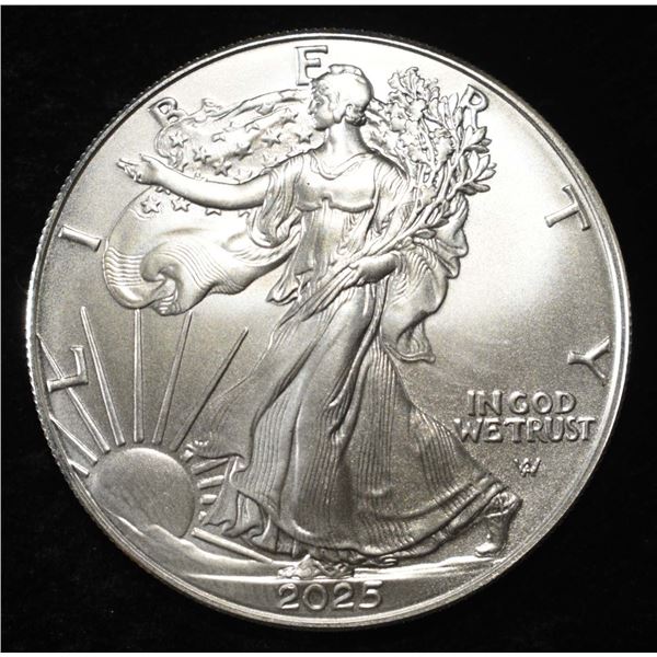 2025 AMERICAN SILVER EAGLE