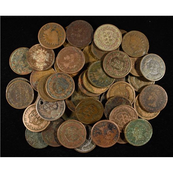 (50) INDIAN HEAD CENTS