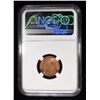 Image 4 : 1955 WHEAT CENT NGC MS66RD