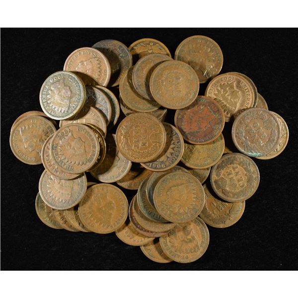 (50) INDIAN HEAD CENTS