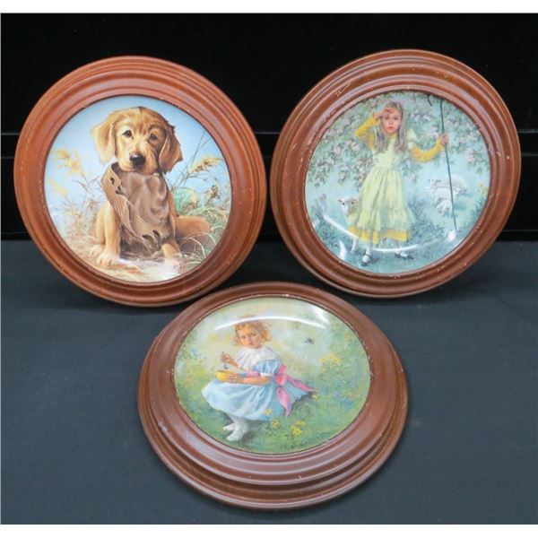 3 Collector Plates With Frames