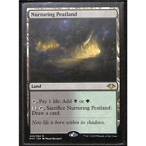 Magic the Gathering Nurturing Peatland Modern Horizons