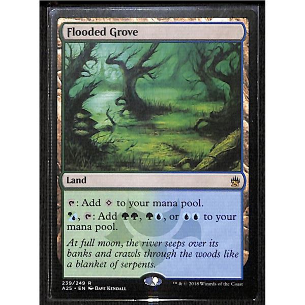 Magic the Gathering Flooded Grove Masters 25