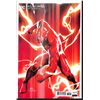 Image 1 : DC The Flash #760 Variant Cover (new never read)