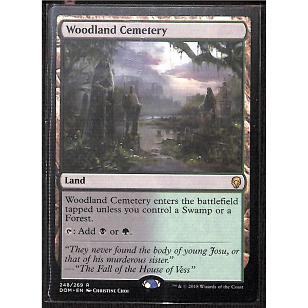 Magic the Gathering Woodland Cemetery Dominaria