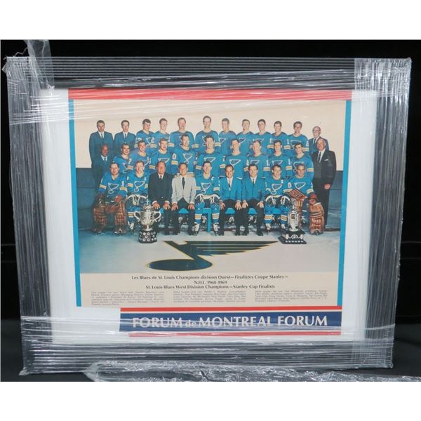 Vintage Framed 1968-69 St. Louis Blues Team Photo 23" x 19"