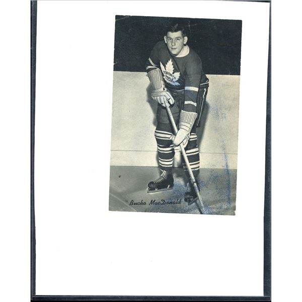 Vintage Beehive 4x7 Black & White Bucko Macdonald Toronto Maple Leafs