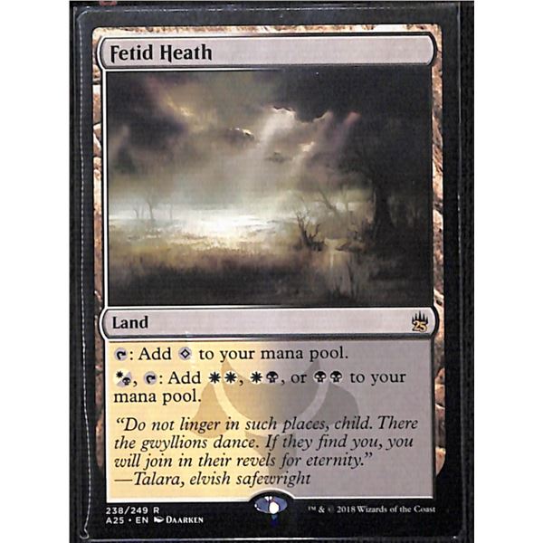 Magic the Gathering Fetid Heath Masters 25