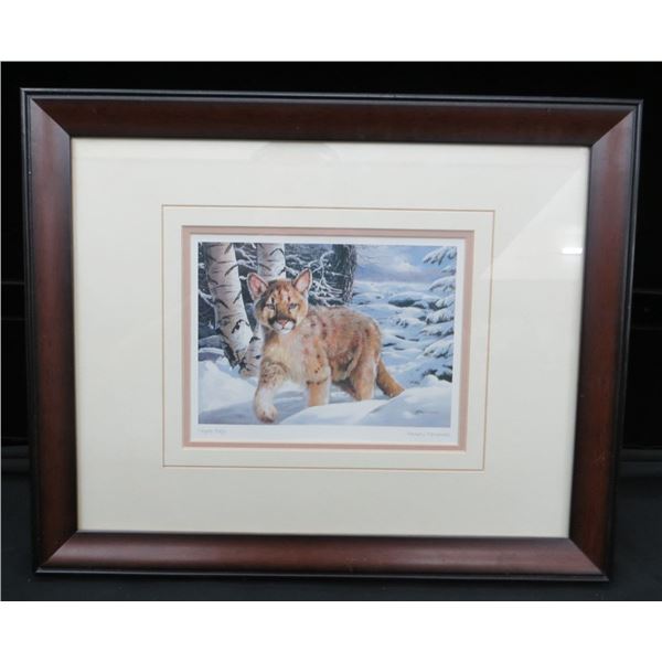 Cougar Baby Framed Print Amneris Fernandez 16" x 13"