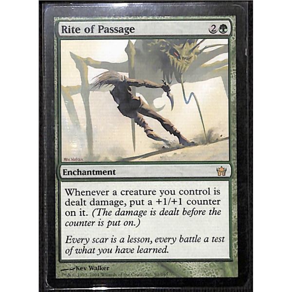 Magic the Gathering Rite Of Passage Fifth Dawn