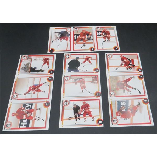 Theoren Fleury Hockey School Set Of 12 Collector Training Cards
