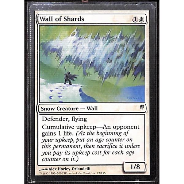 Magic the Gathering Wall of Shards Coldsnap