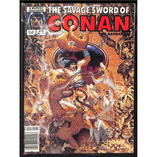 The Savage Sword Of Conan The Barbarian #111