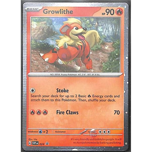 Pokemon Growlithe 024 Holographic Black Star Promo