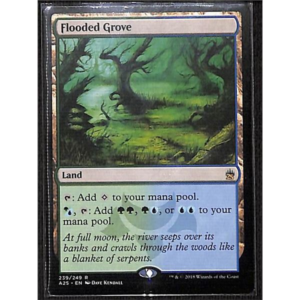 Magic the Gathering Flooded Grove Masters 25