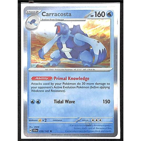 Pokemon Carracosta - 038/142 - Rare HOLO Stellar Crown