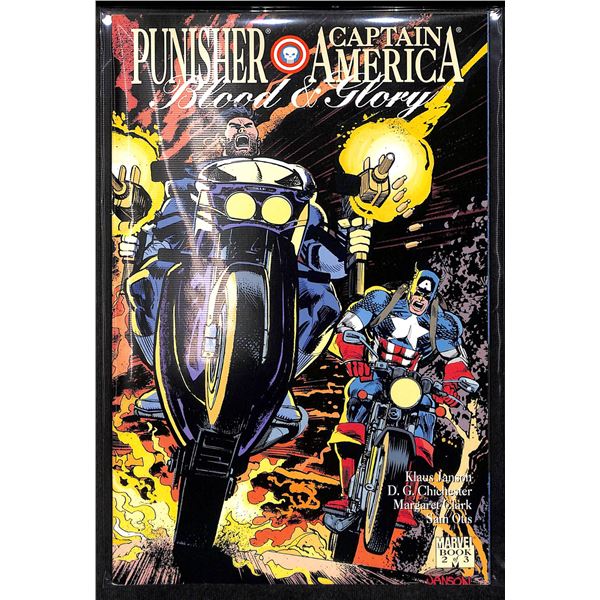 Marvel Punisher & Captain America Blood & Glory Book 2