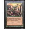 Image 1 : Magic the Gathering Sylvan Safekeeper Judgment