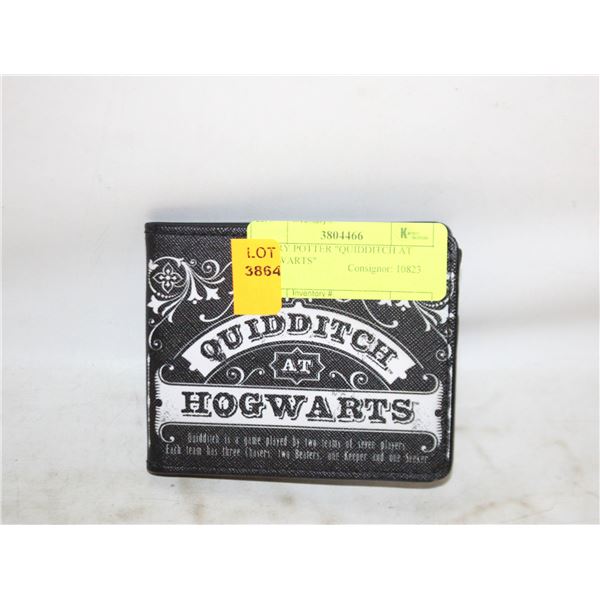 HARRY POTTER "QUIDDITCH AT HOGWARTS"