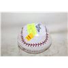 Image 1 : RAWLINGS SOFT BAT + INFLATABLE BASEBALL