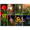 Image 1 : FEATURED SOLAR LIGHTS