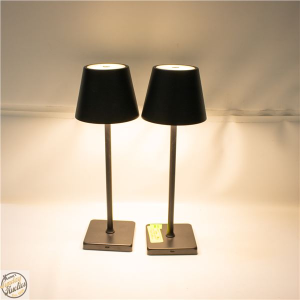 2 PK OF MIKASA HOME ACCENTS RECHARGEABLE LED LAMPS