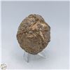 Image 2 : HALF CUT THUNDEREGG GEODE VOLCANIC STONE