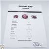 Image 2 : #4601-14.5 X 12 X 5.5 OVAL FACETED RED RUBY