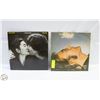 Image 1 : 2 JOHN LENNON LP’S (“IMAGINE” &