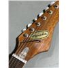 Image 2 : Arcadia Electric Guitar w/ Case