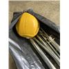 Image 3 : PORTABLE TETHERBALL SET UP