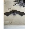 Image 6 : HALLOWEEN DECOR INCLUDING LARGE SPIDER, RUBBER BATS, SPOTLIGHT ETC