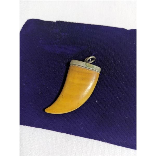 LARGE WILD CAT CLAW PENDANT, POSSIBLE LION, TIGER OR OTHER
