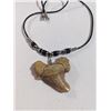 Image 2 : HAND CRAFTED TOOTH PENDANT W/ CORD CHAIN NECKLACE