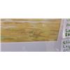 Image 4 : ELIZABETH LAUDER ORIGINAL WATERCOLOR