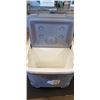 Image 3 : 2 IGLOO COOLERS