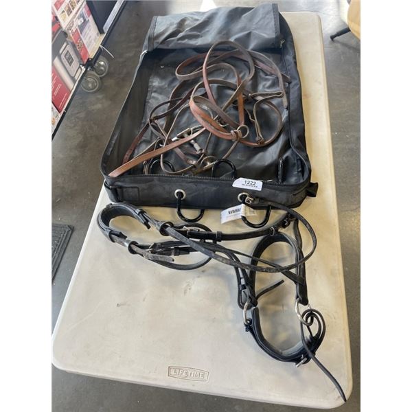 LOT OF HORSE SHOW HALTERS IN ZIP BAG