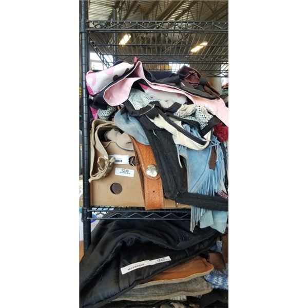 LARGE BOX OF HORSE ACCESSORIES