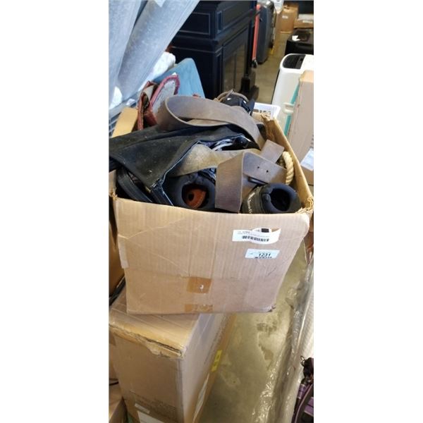 LARGE BOX OF HORSE ACCESSORIES