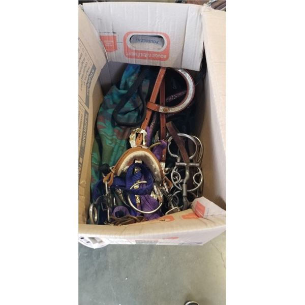 BOX OF SHOW HORSE HALTERS