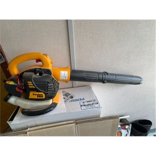 Gas Leaf blower