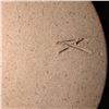 Image 10 : Mid Century Stoneware Pottery Collection